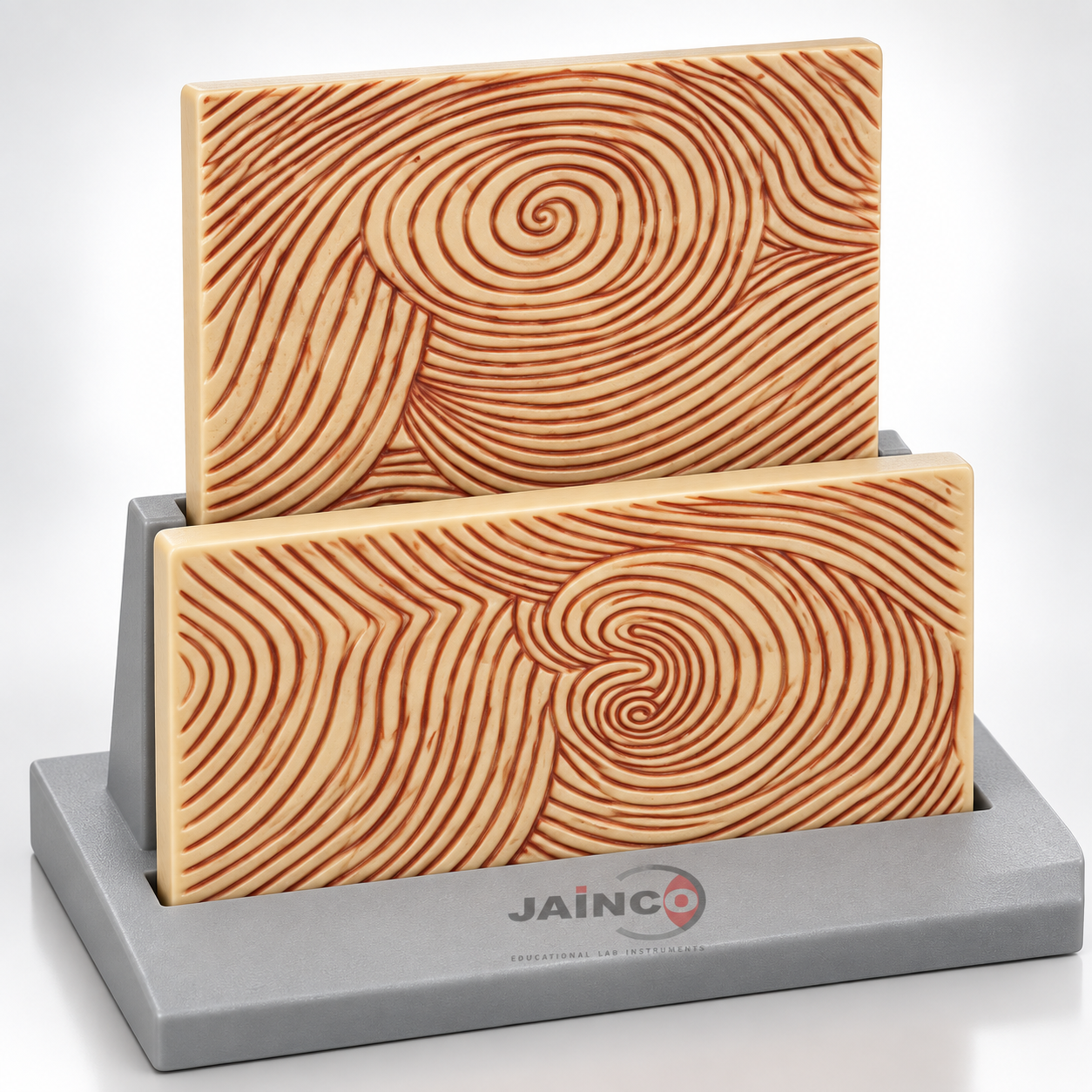 Fingerprint Composite Model